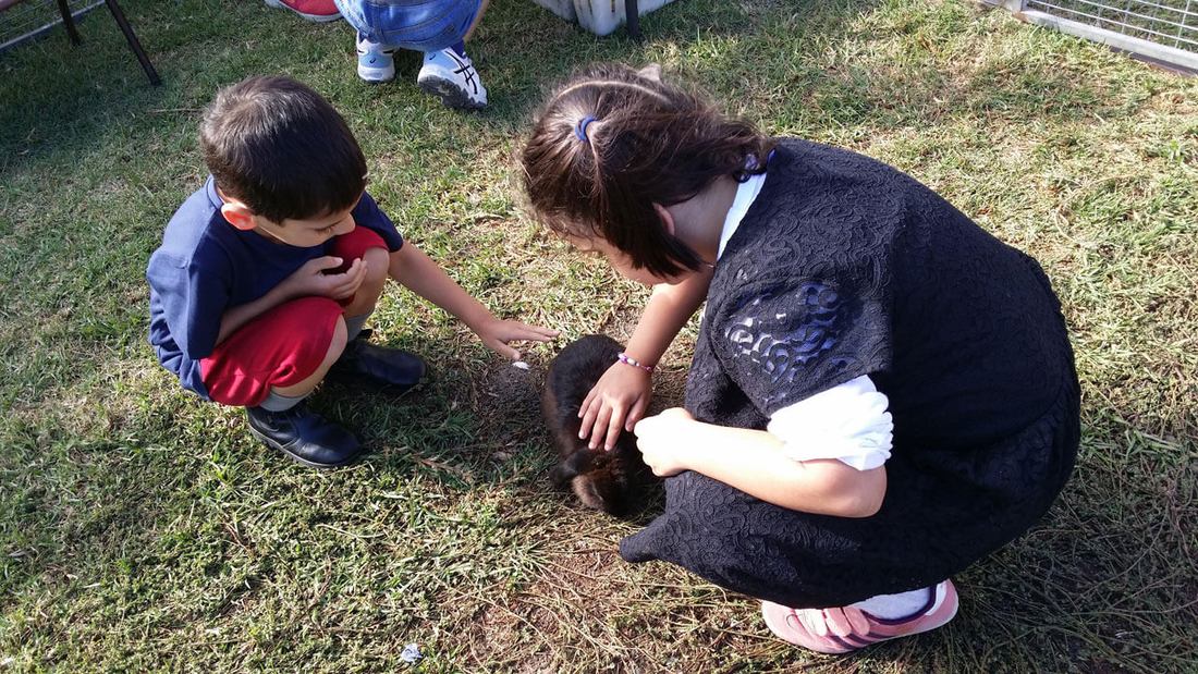 ICMG Education community photo 21
