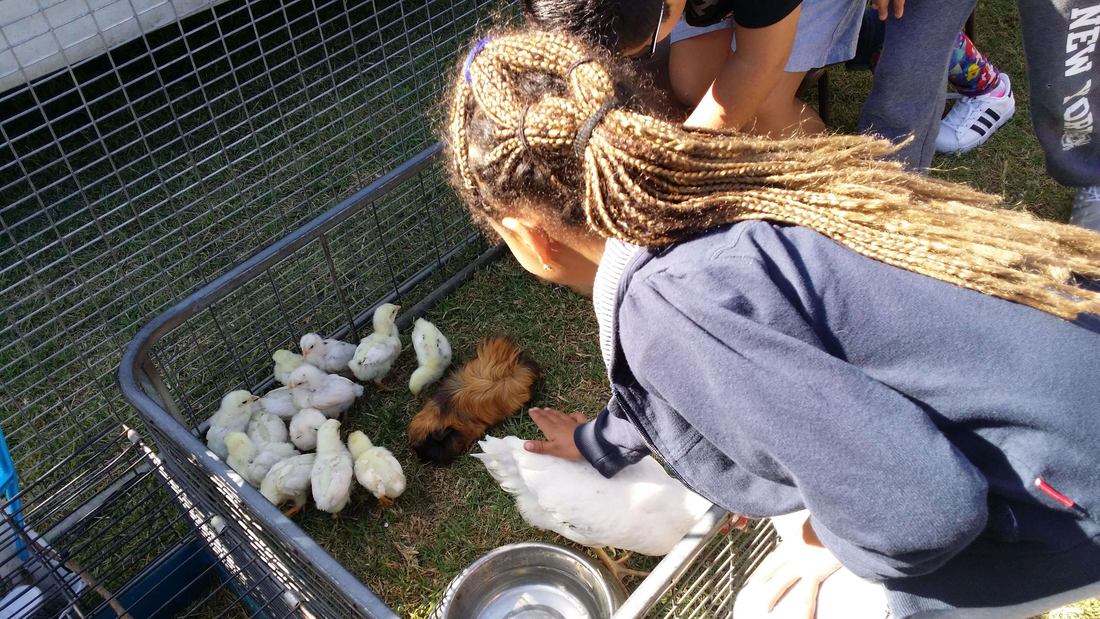 ICMG Education community photo 23